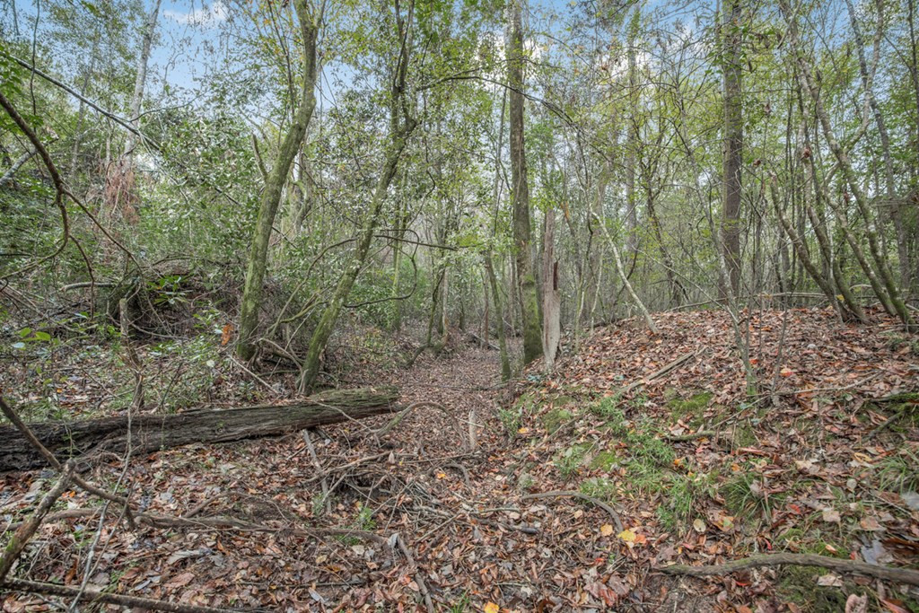 3162 Reeves Road Southeast Bogue Chitto, MS 39629 - Photo 10 of 21 Photo 10