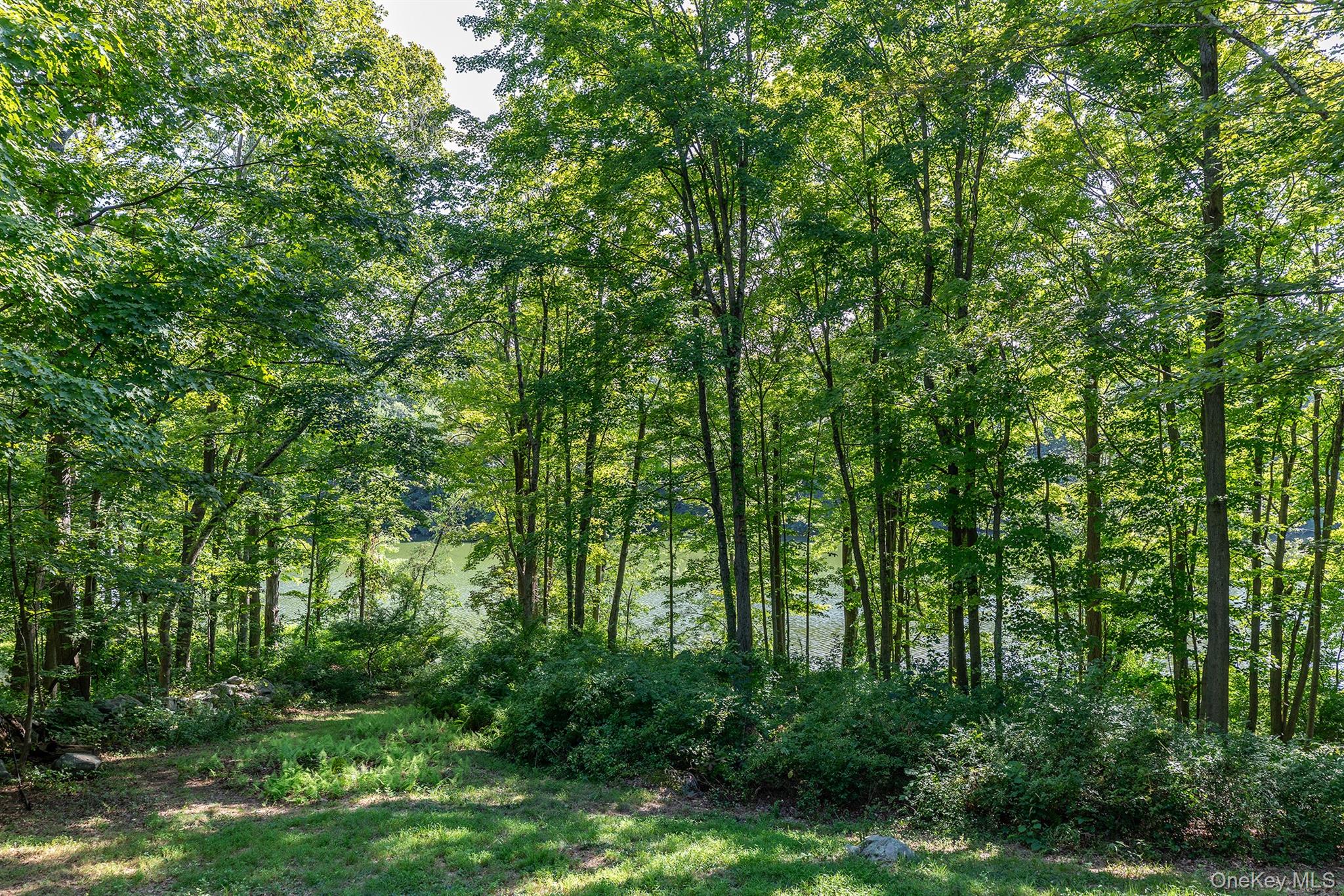 Undisclosed Address Brewster, NY 10509 - Photo 26 of 39 a view of lush green forest