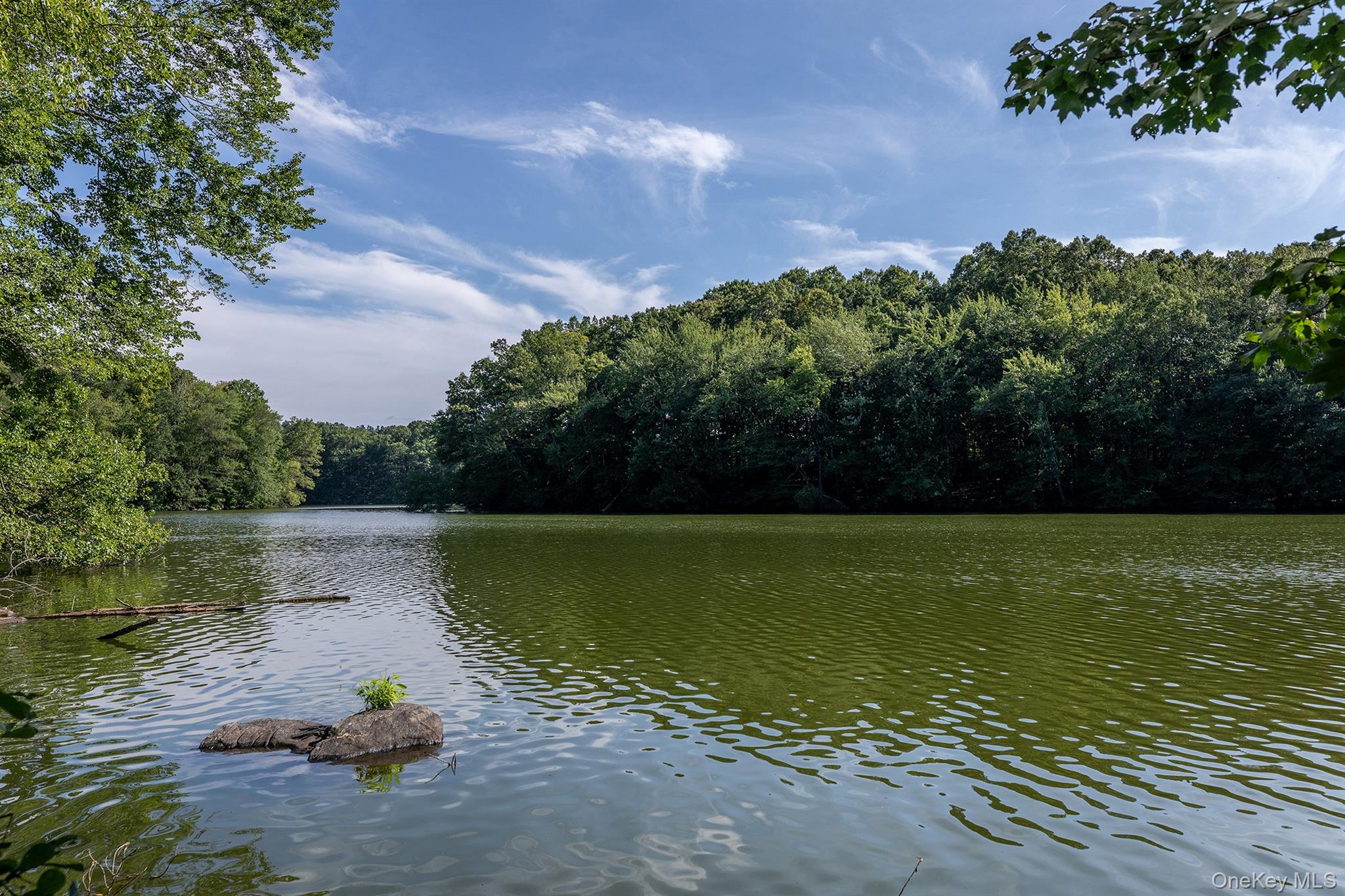 Undisclosed Address Brewster, NY 10509 - Photo 33 of 39 a view of a lake from a yard