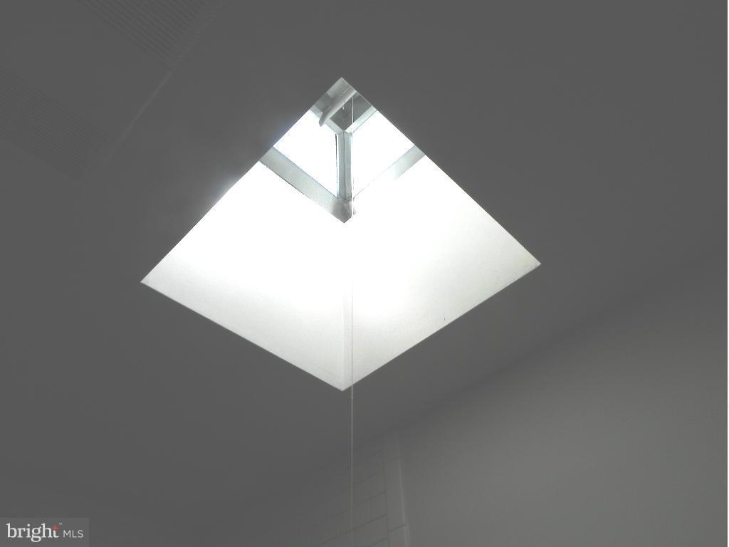 1315 Webster Street Baltimore, MD 21230 - Photo 20 of 29 Skylight in Hall Bath