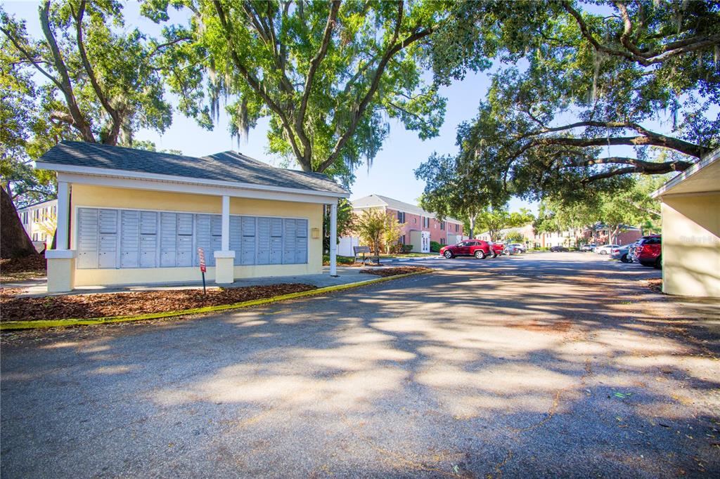 13830 Orange Sunset Drive, Unit 202 Tampa, FL 33618 - Photo 21 of 34 a view of street with large trees