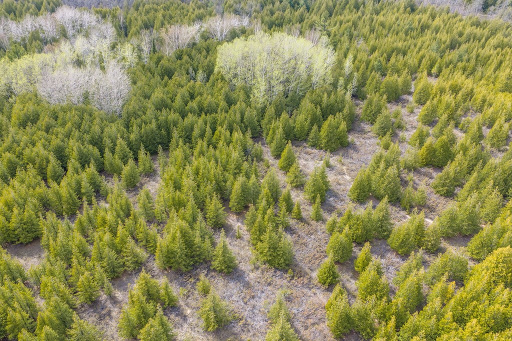 Lot 2 Hill Road Sister Bay, WI 54234 - Photo 23 of 35