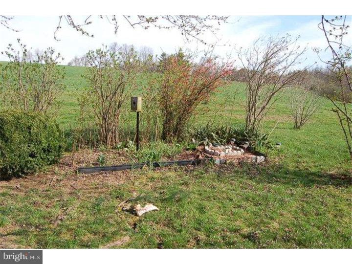 405 Rock Road Pine Grove, PA 17963 - Photo 9 of 10 View in Back