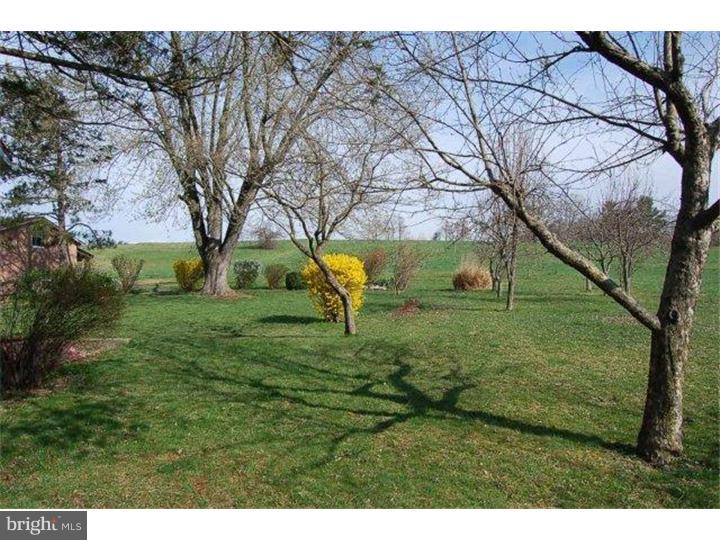 405 Rock Road Pine Grove, PA 17963 - Photo 10 of 10 Exterior