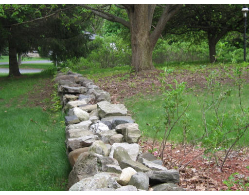 339 Edgewood Road West Springfield, MA 01089 - Photo 8 of 22 a backyard of a house with lots of green space