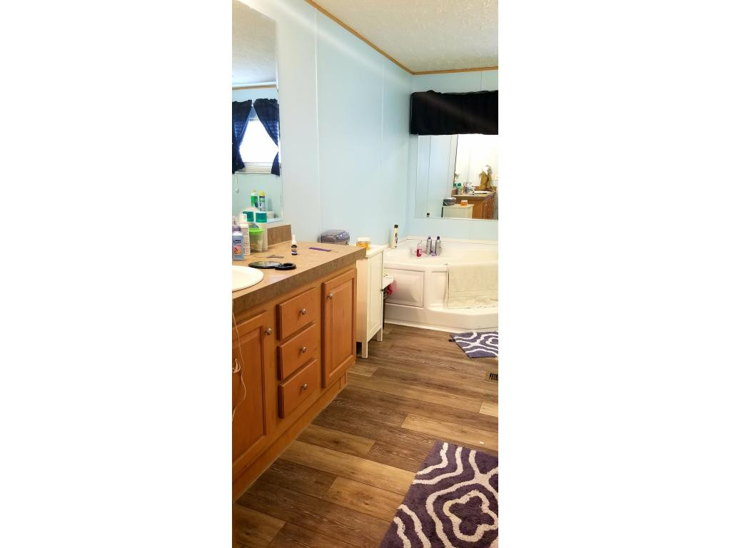 1395 East Stage Coach Road Greeneville, TN 37743 - Photo 11 of 26 Master Bathroom