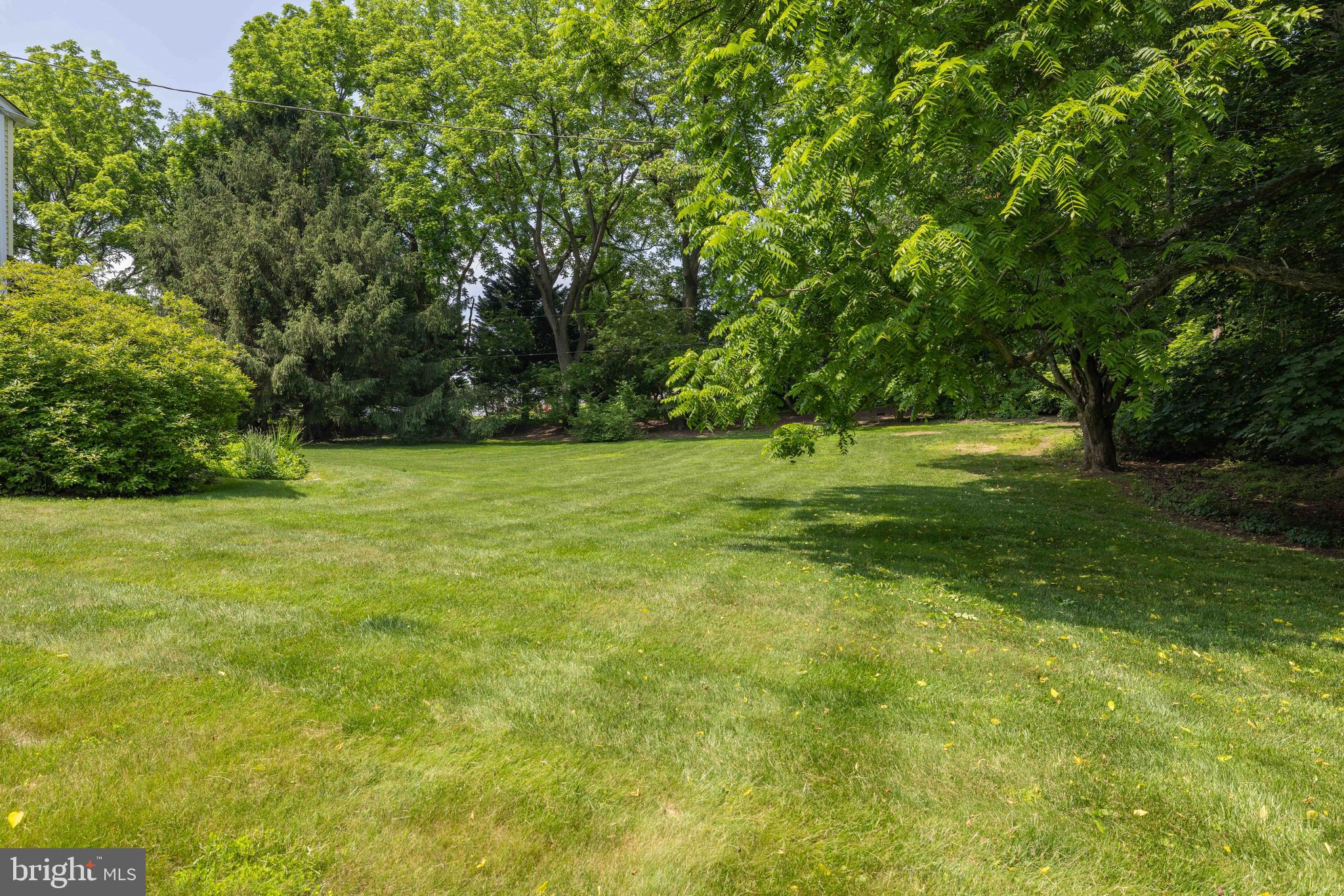 17 Bridleshire Road Newark, DE 19711 - Photo 55 of 62 a view of a green field with trees in the background