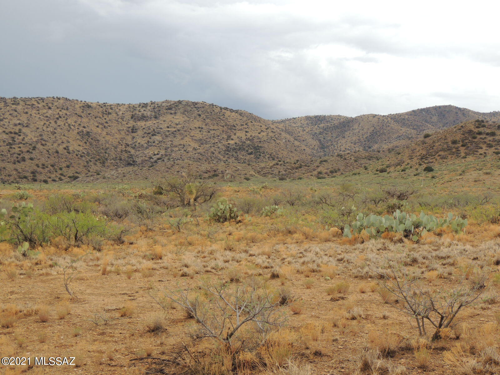 40.82 Acres Mulkins Ranch Road, Unit 11 Bowie, AZ 85605 - Photo 17 of 17