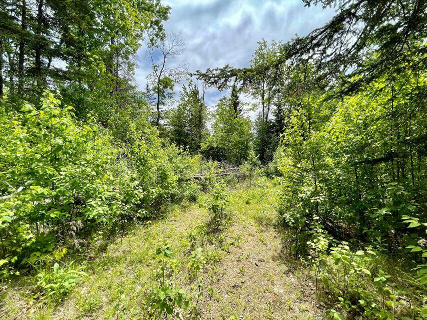 140 Works Road Jackson, ME 04921 - Photo 7 of 38 7