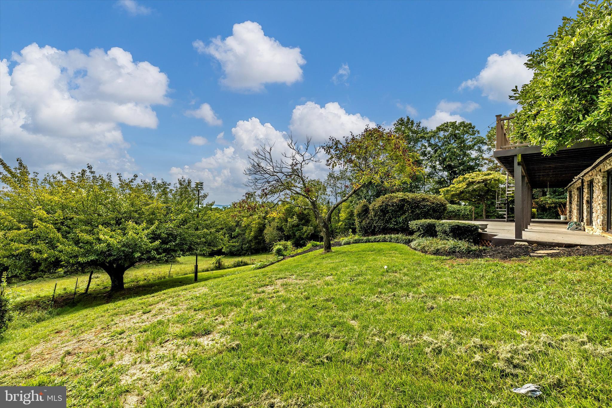 9303 Frostown Road Middletown, MD 21769 - Photo 38 of 63