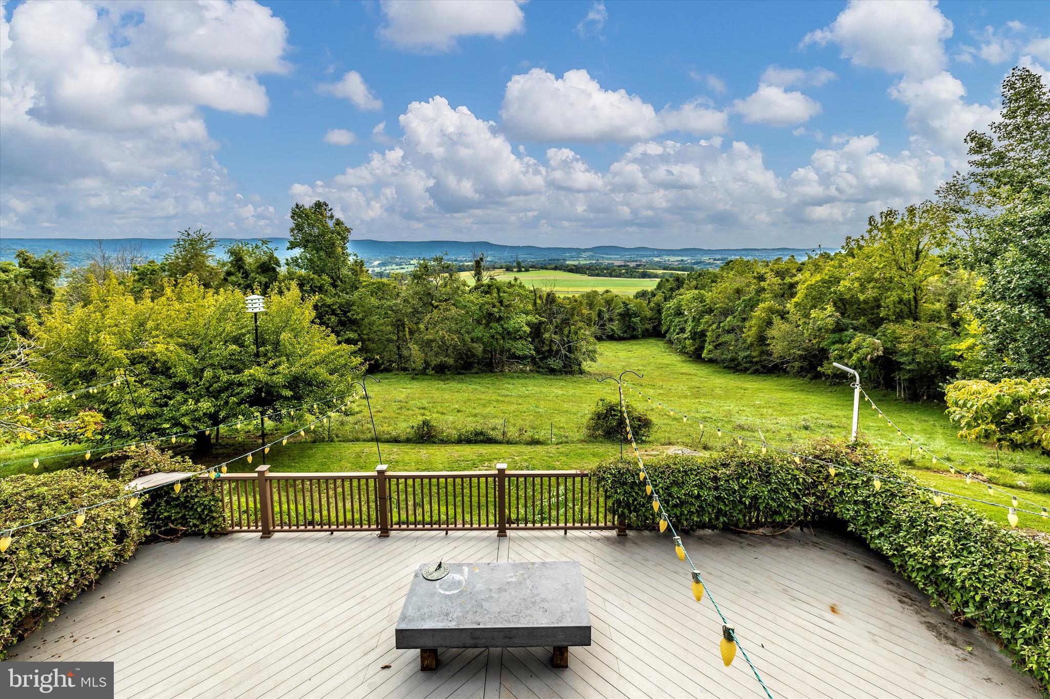 9303 Frostown Road Middletown, MD 21769 - Photo 47 of 63