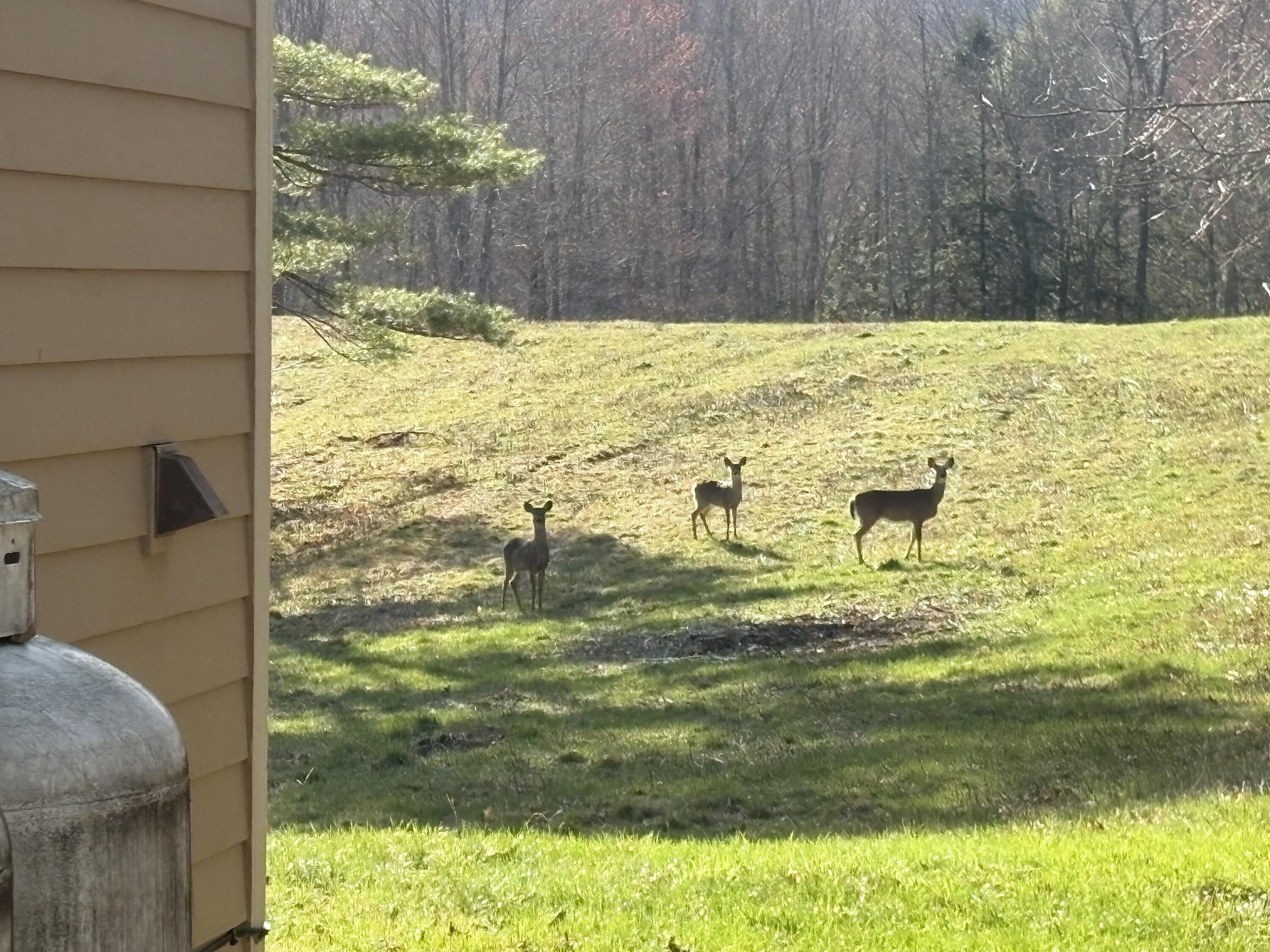 10 Song Bird Lane Readfield, ME 04355 - Photo 19 of 28 IMG_4085