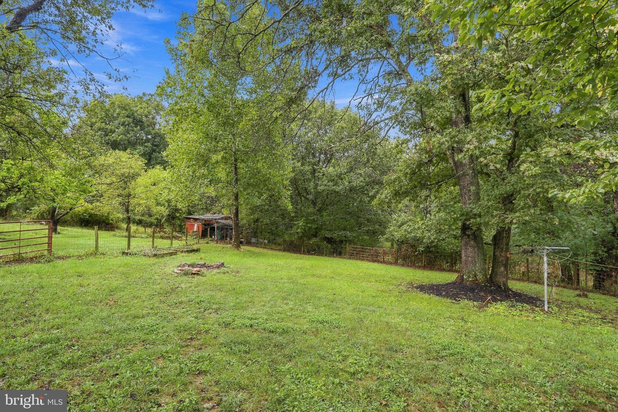 455 Mountain Road Front Royal, VA 22630 - Photo 50 of 62 Fenced rear yard. Beautiful 1 acre lot