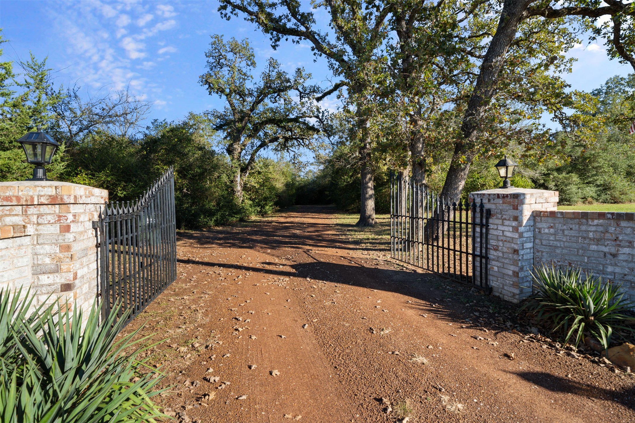 25948 Nelson Road Hempstead, TX 77445 - Photo 3 of 50 a view of street with wooden fence