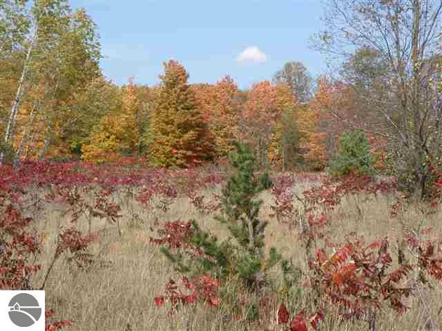 Lot#6 Rosa Road, Unit LOT: 6 Beulah, MI 49617 - Photo 15 of 18