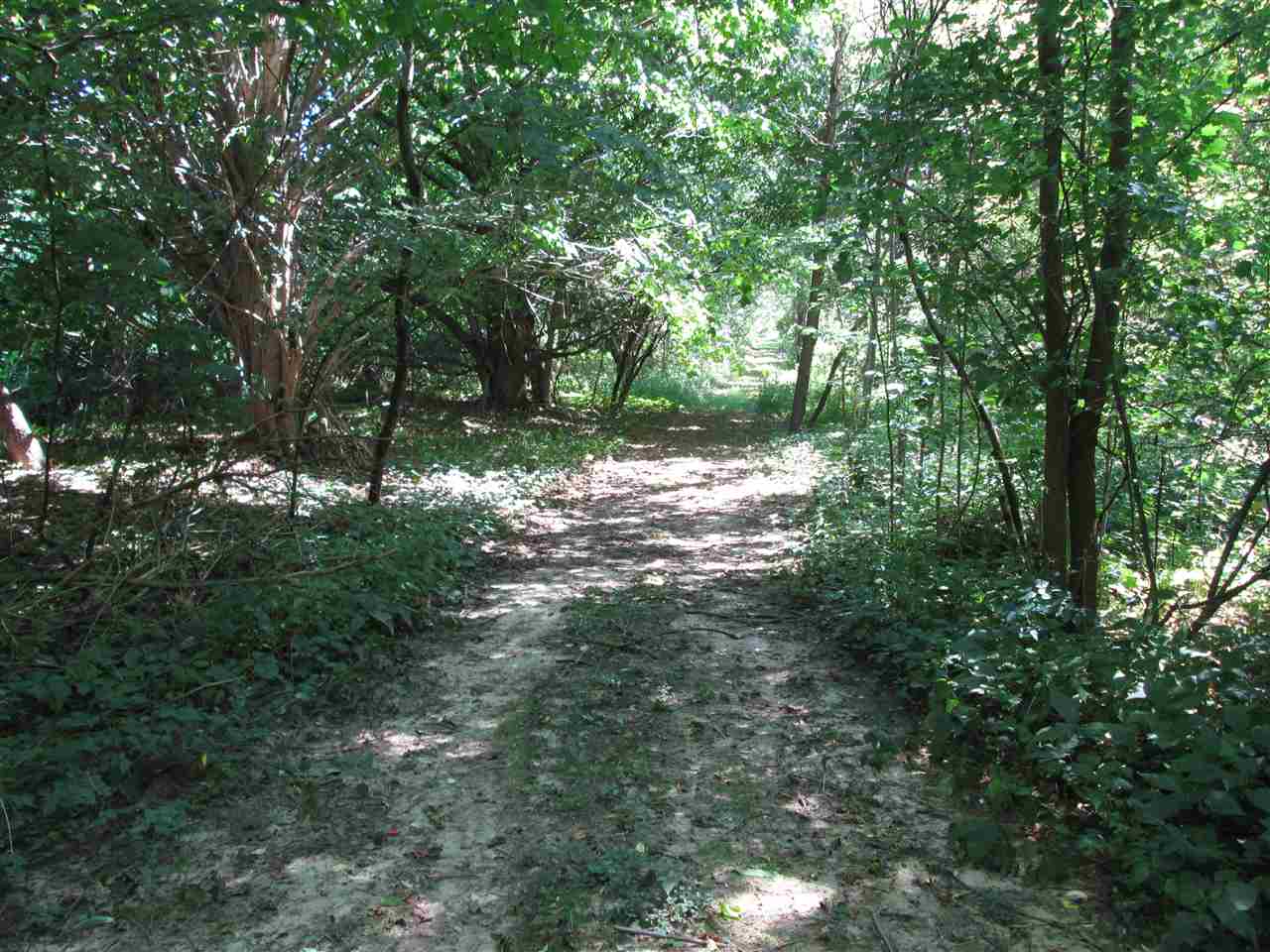 56300 Timothy Road New Carlisle, IN 46552 - Photo 2 of 7 Gallery Image 2