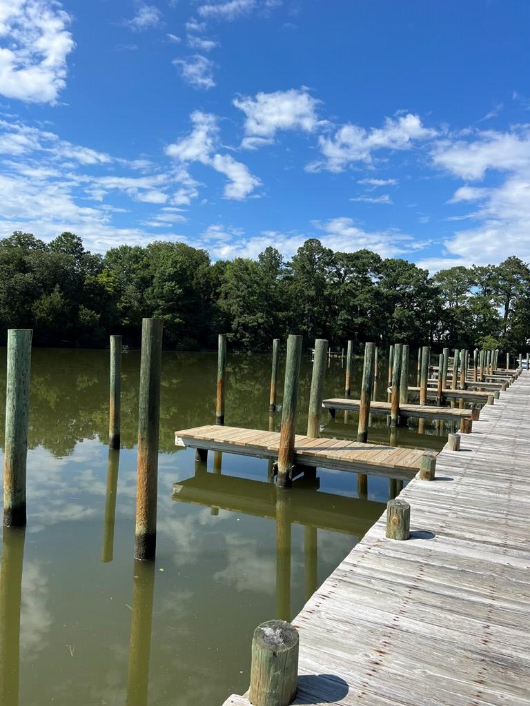 Lot 10 Plum Tree Road, Unit 10 Cape Charles, VA 23310 - Photo 7 of 8