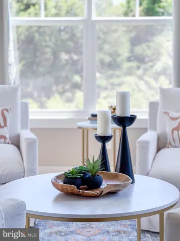 a living room with a couch and a potted plant