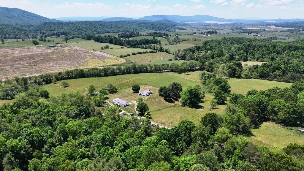 85-acre Coffey Road, Unit 1 & 2 Max Meadows, VA 24360 - Photo 16 of 25 Gallery Image 16