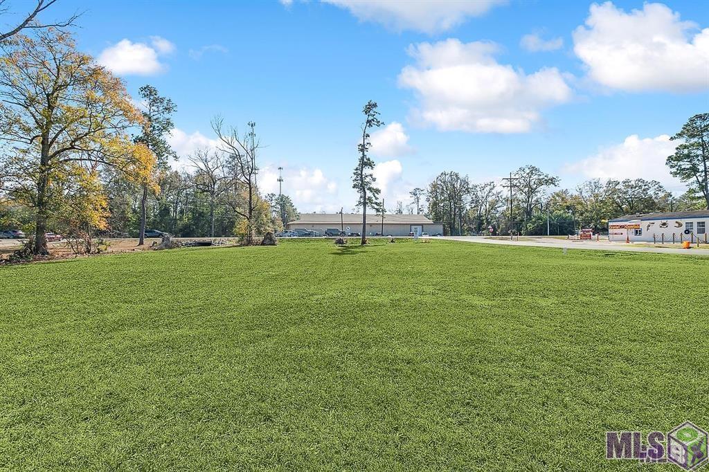 Tbd Florida Boulevard Walker, LA 70785 - Photo 3 of 10