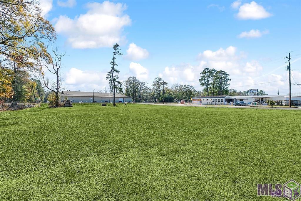 Tbd Florida Boulevard Walker, LA 70785 - Photo 5 of 10
