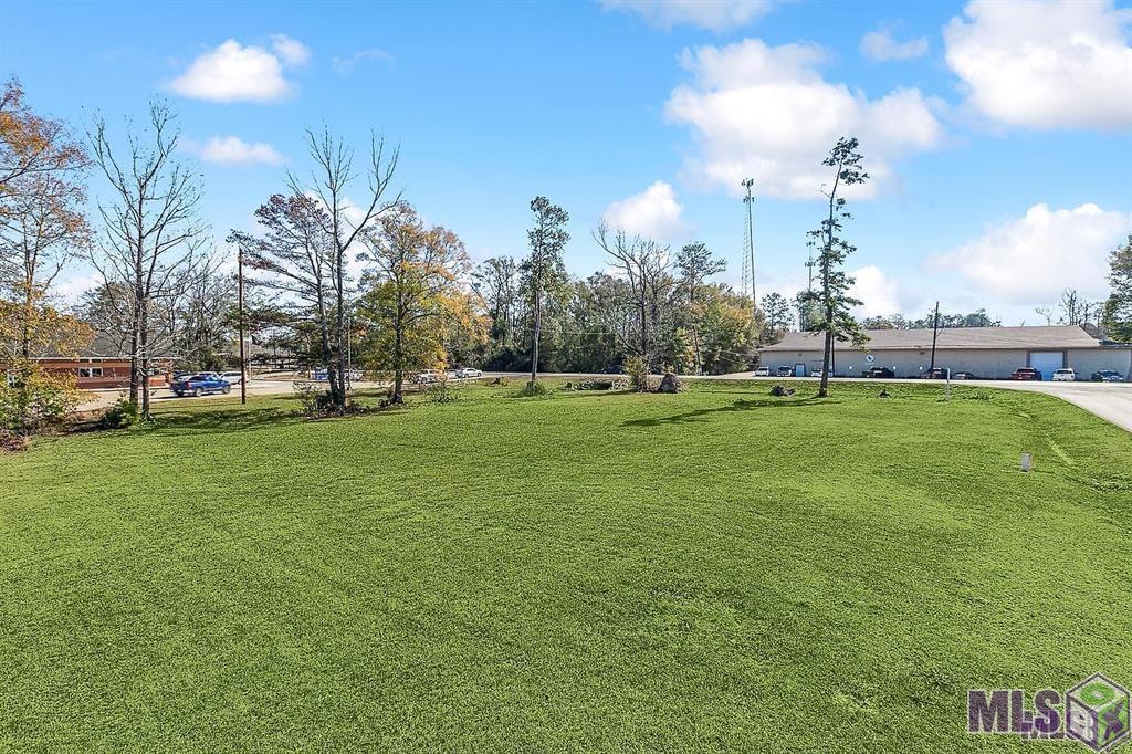 Tbd Florida Boulevard Walker, LA 70785 - Photo 8 of 10