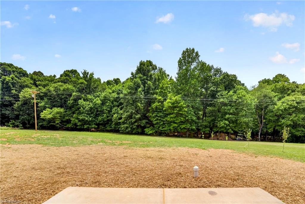 4352 Happy Hollow Road Asheboro, NC 27205 - Photo 38 of 48