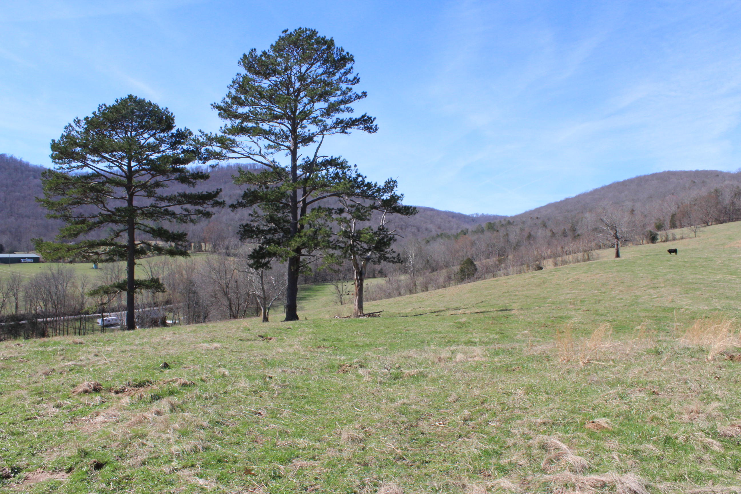 Manson Road Jamestown, TN 38556 - Photo 7 of 21 007