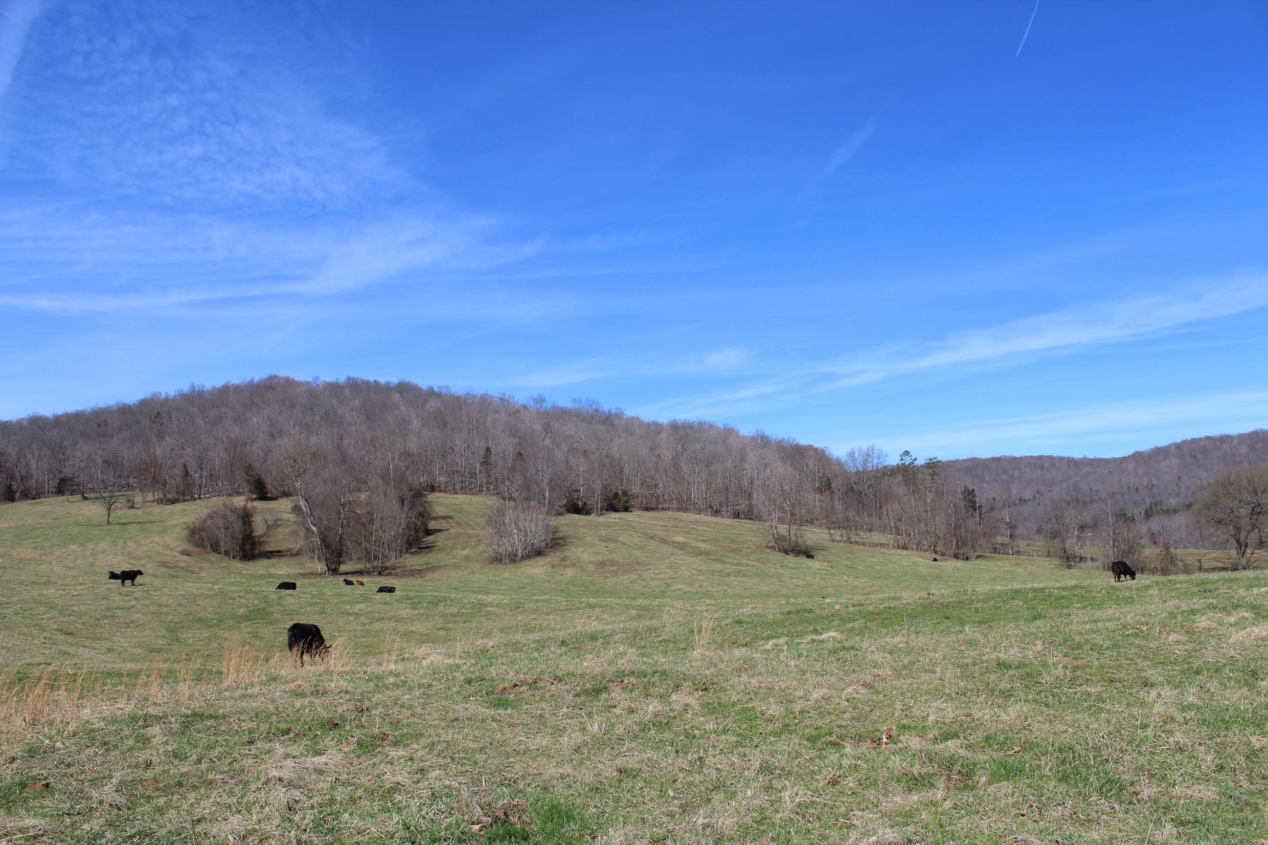 Manson Road Jamestown, TN 38556 - Photo 9 of 21 009