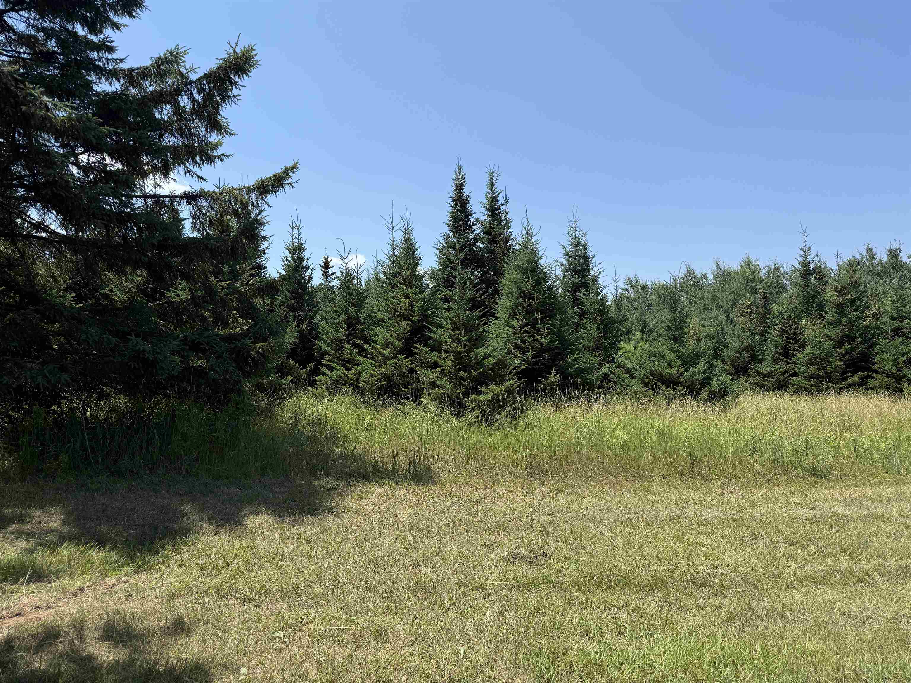 Red Hickory Road Eland, WI 54427 - Photo 3 of 28