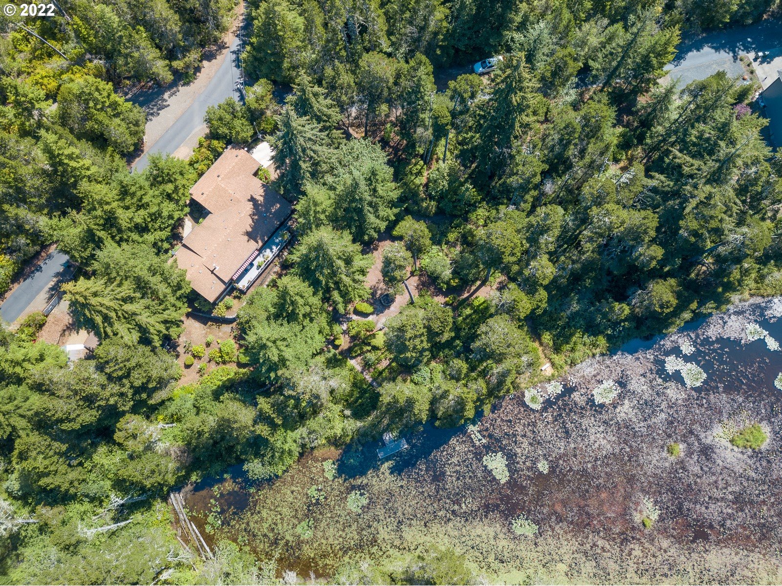 5732 Nicholson Road Florence, OR 97439 - Photo 30 of 31 a picture of trees