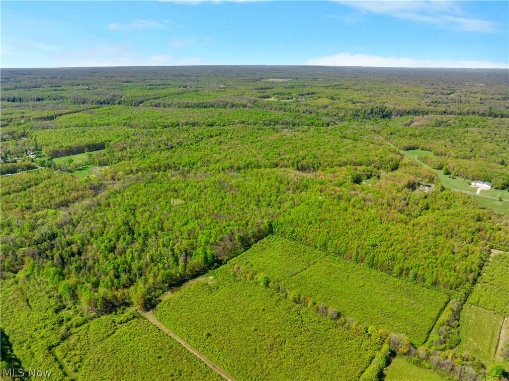 Balch Road Thompson, OH 44086 - Photo 4 of 11 Expansive aerial perspective showcasing a vast landscape of lush green foliage and clearings under a blue sky