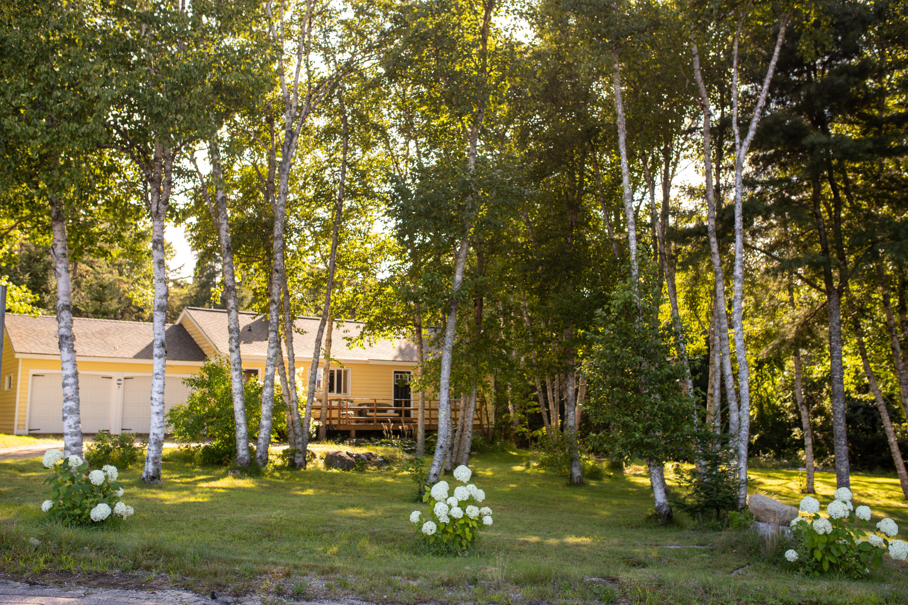 259 Flye Point Road Brooklin, ME 04616 - Photo 11 of 65 259 Flye Point 1-1