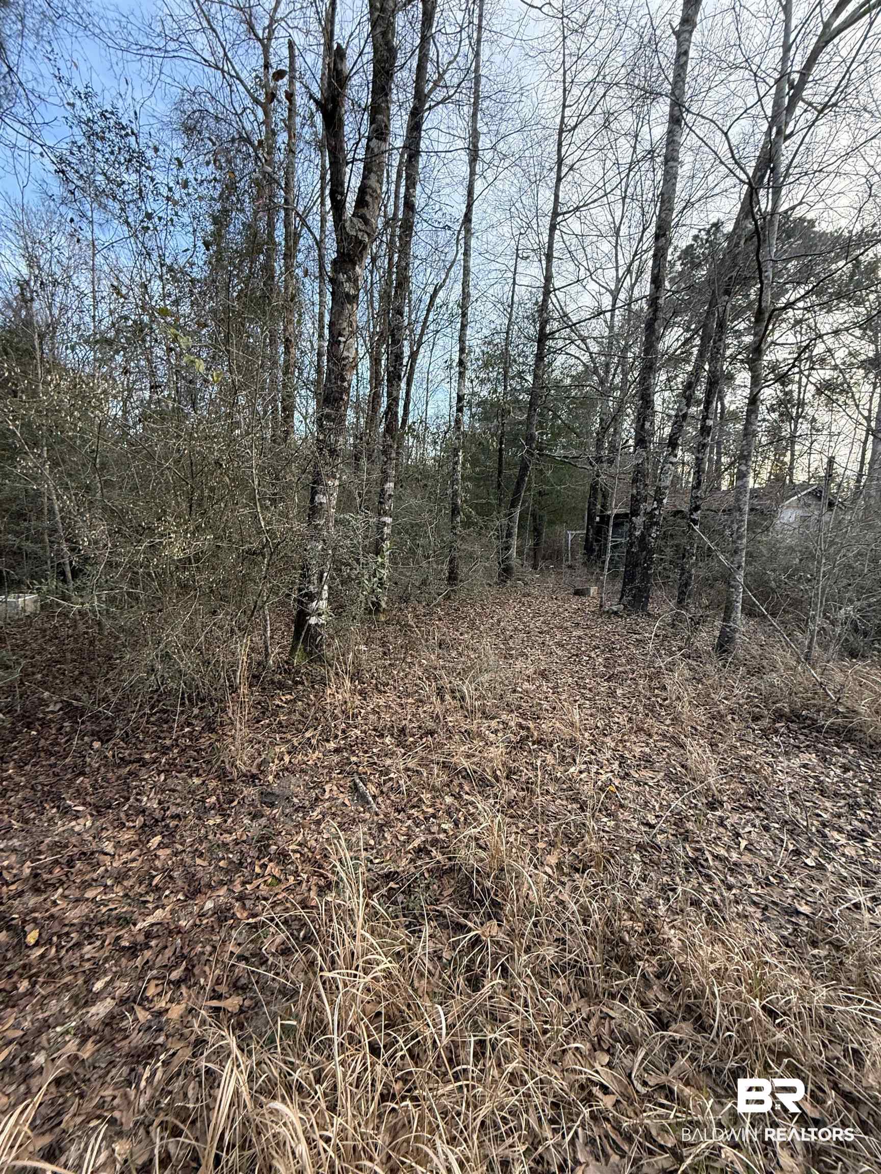 0 Harmon Williams Road Mobile, AL 36608 - Photo 3 of 12