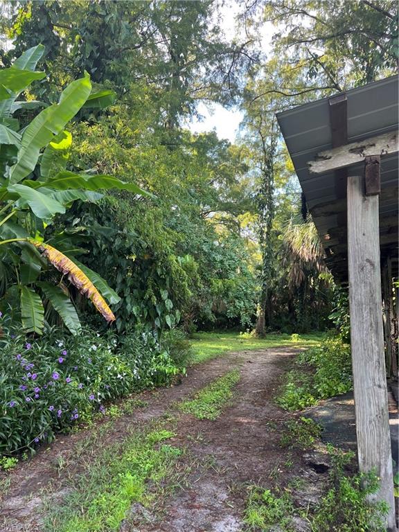 2170 Rock Road Naples, FL 34120 - Photo 14 of 15 a view of a lush green forest