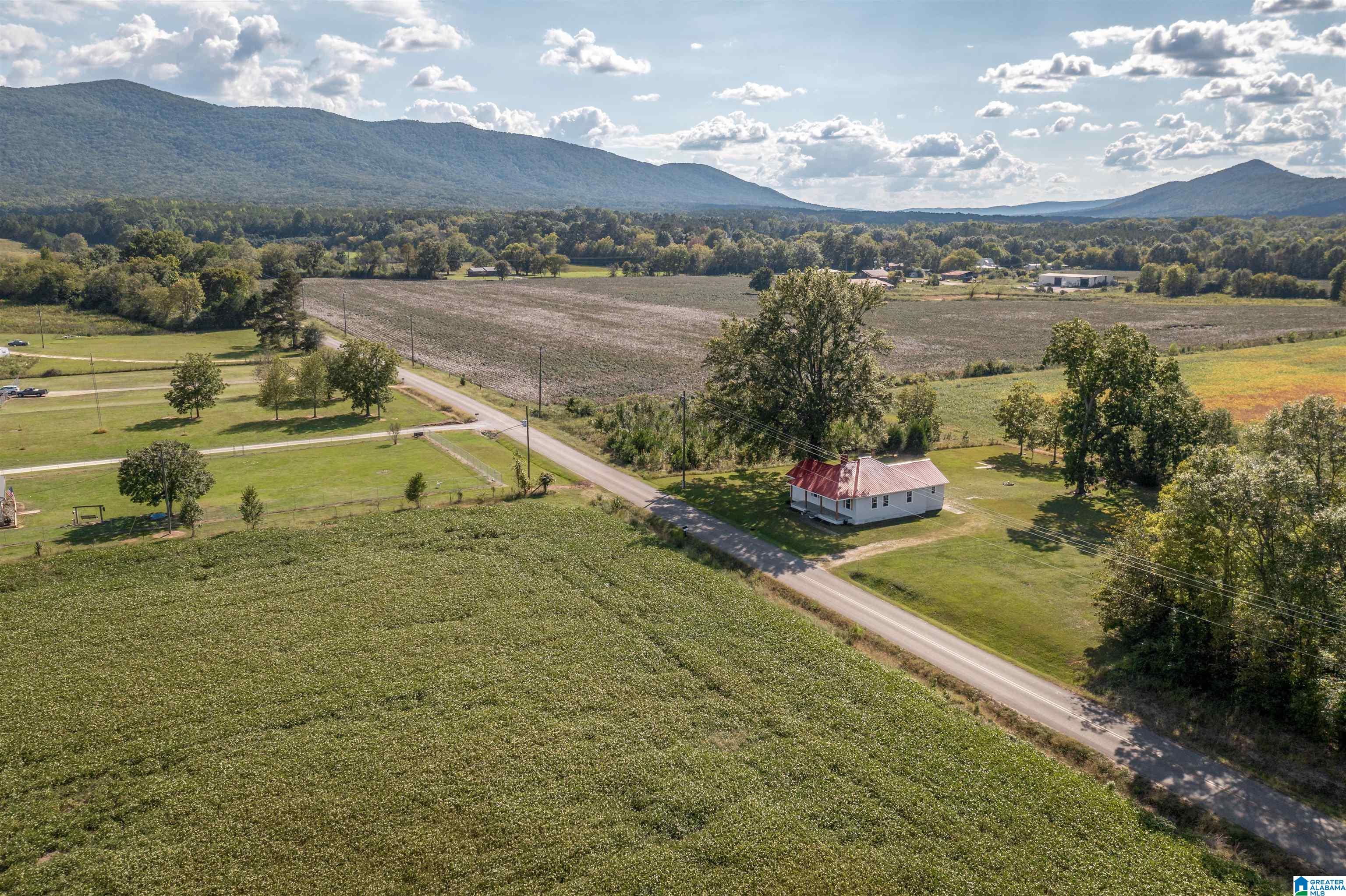 267 The Wagon Road Piedmont, AL 36272 - Photo 2 of 28