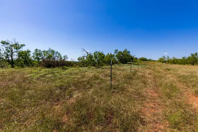 a view of a field with trees in background