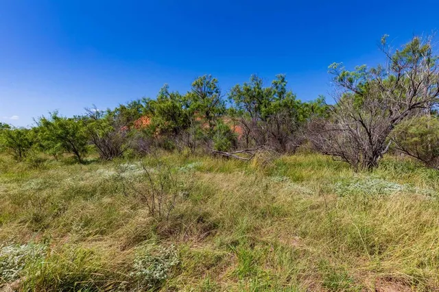 a view of a yard with a tree