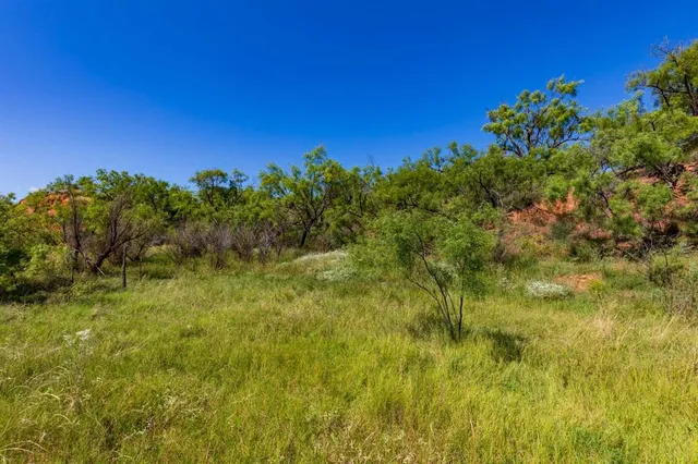 a view of a big yard with plants and a bench