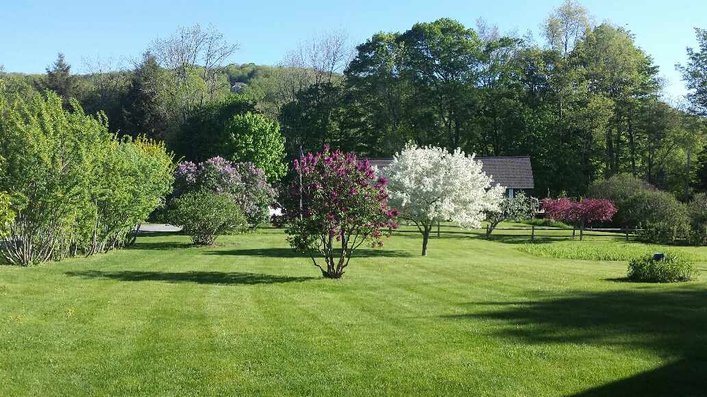 245 Hillside Road Hartford, VT 05059 - Photo 5 of 24 Gallery Image 5