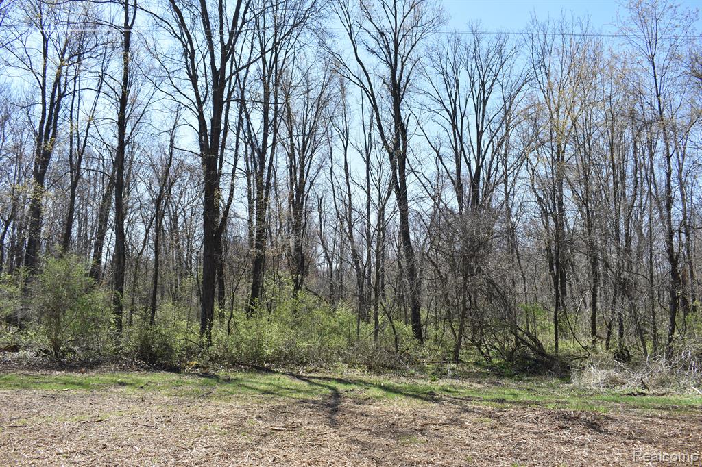 P-8 West Allen Road Howell, MI 48855 - Photo 2 of 3