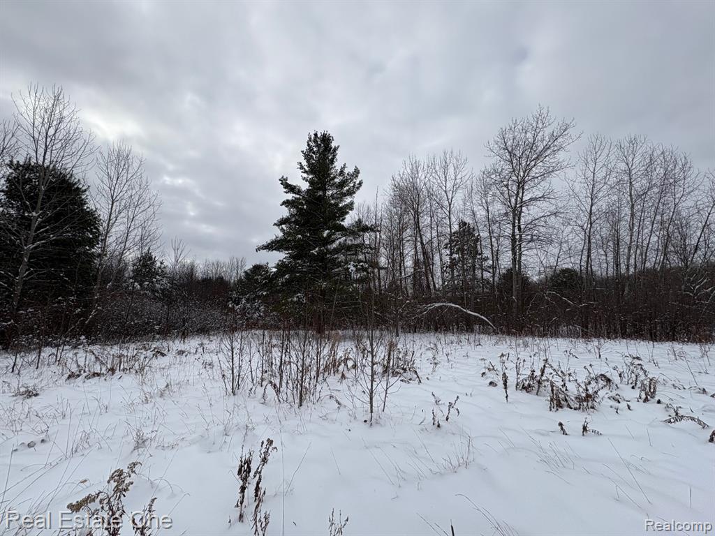 2855 East County Line Road Hale, MI 48739 - Photo 33 of 40