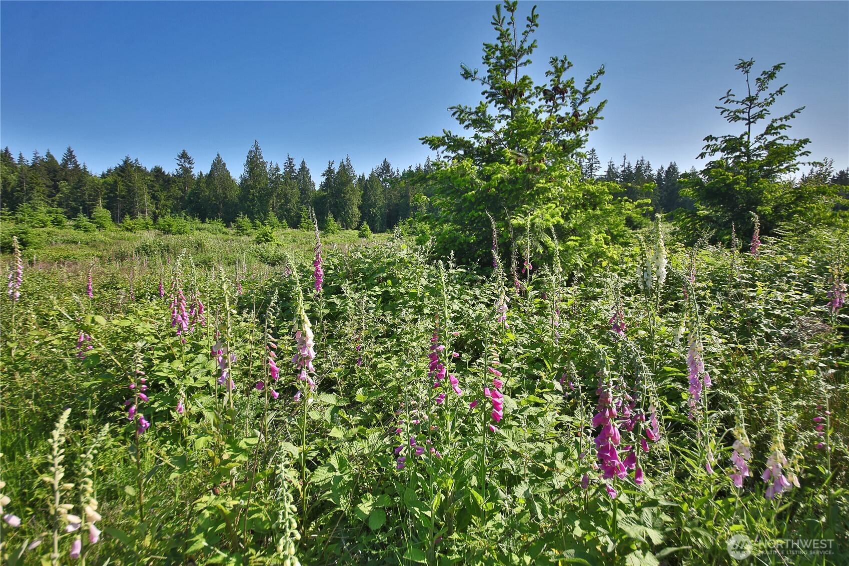 2062 East Goodell Road Freeland, WA 98249 - Photo 13 of 37