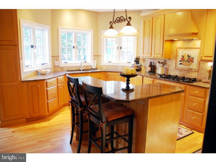 204 Turner Road Wallingford, PA 19086 - Photo 14 of 25 Kitchen