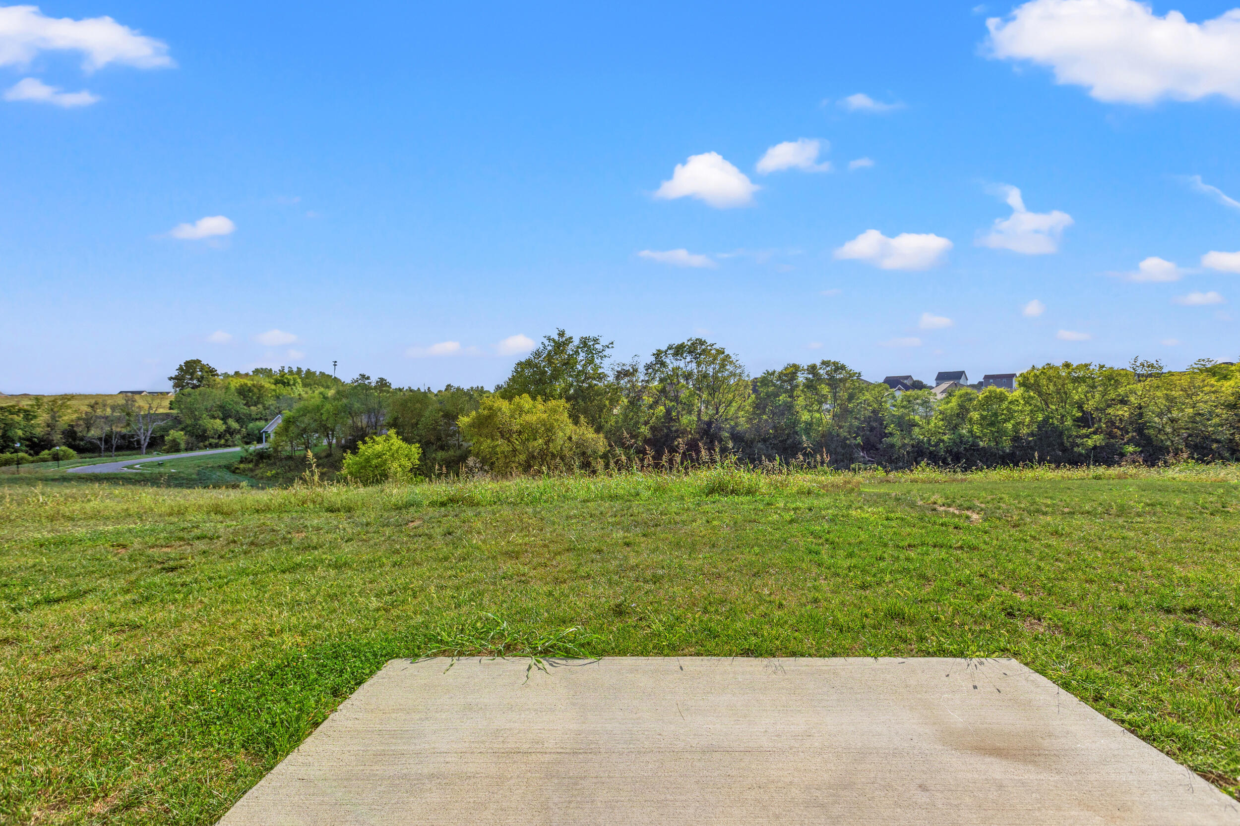 4019 Ruby Rose Road Richmond, KY 40475 - Photo 25 of 27 View from back Patio