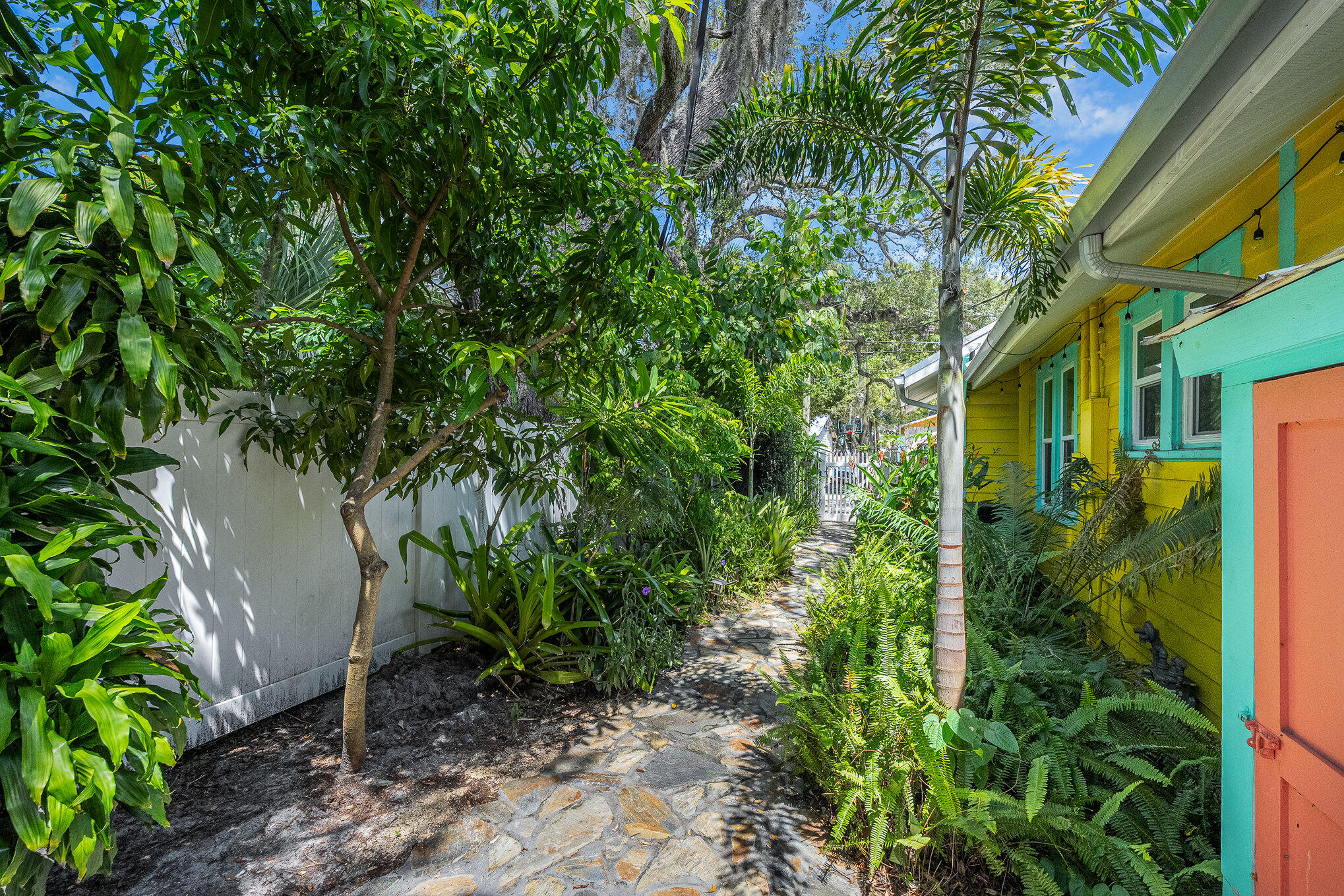 703 Shady Lane Melbourne, FL 32935 - Photo 20 of 23 a plant is in a garden