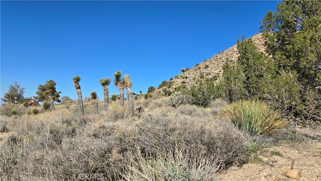 0 Pinon Road Llano, CA 93544 - Photo 11 of 31