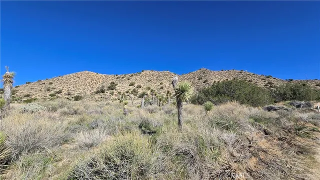 $59,900 | 0 Pinon Road, Llano, CA 93544