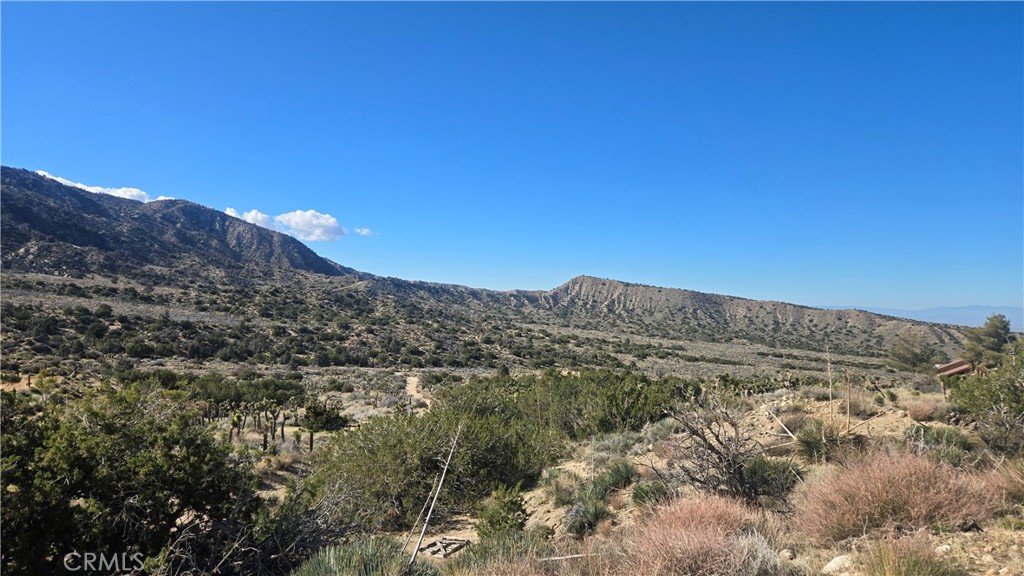 0 Pinon Road Llano, CA 93544 - Photo 16 of 31