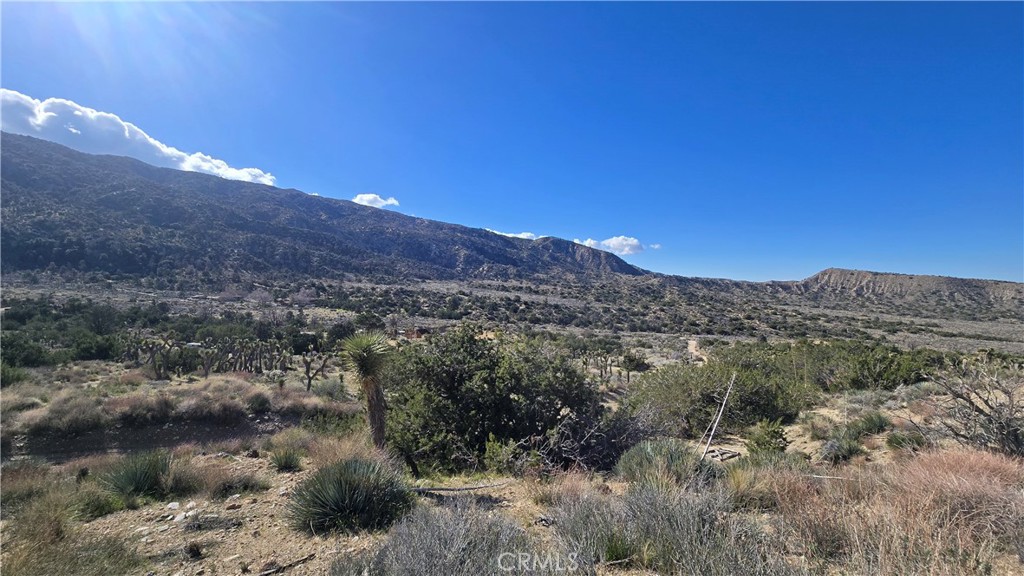 0 Pinon Road Llano, CA 93544 - Photo 17 of 31